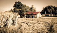 Forgotten Barn