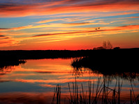 Goose Pond Sunset