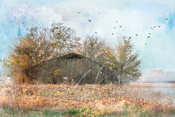 Illinois Barn